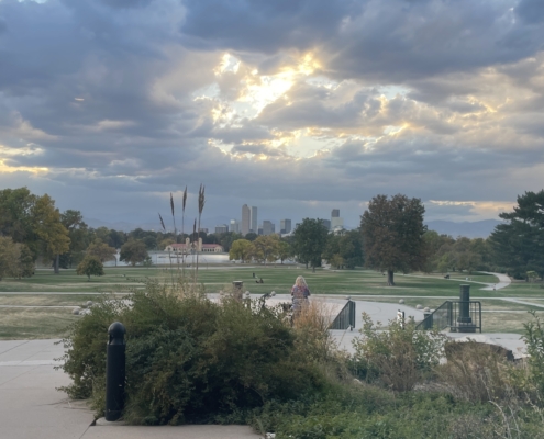 city view from park